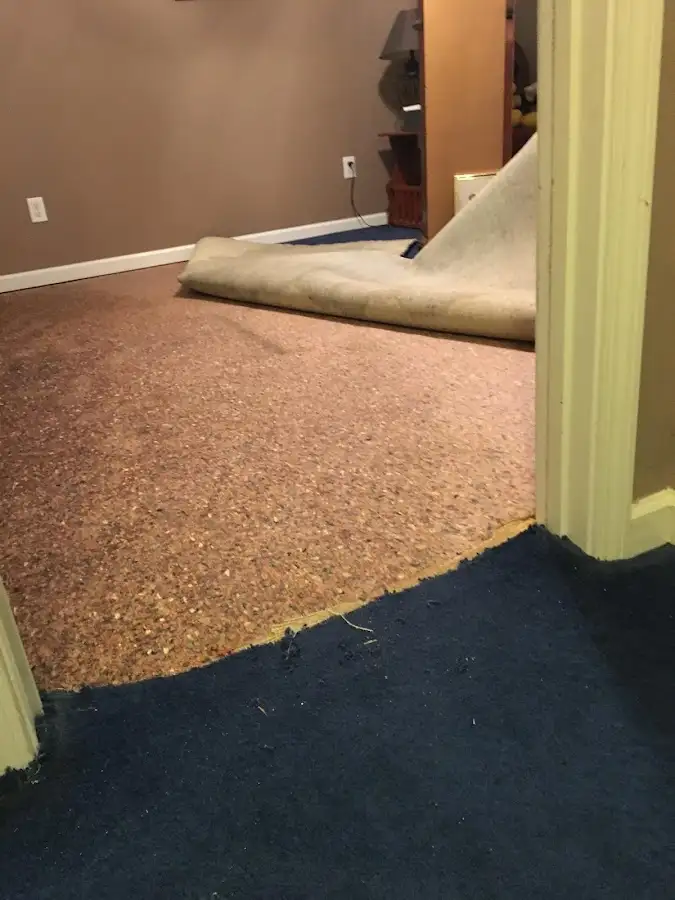 Carpet pad removal revealing water damage during Water Mitigation Services in Clay