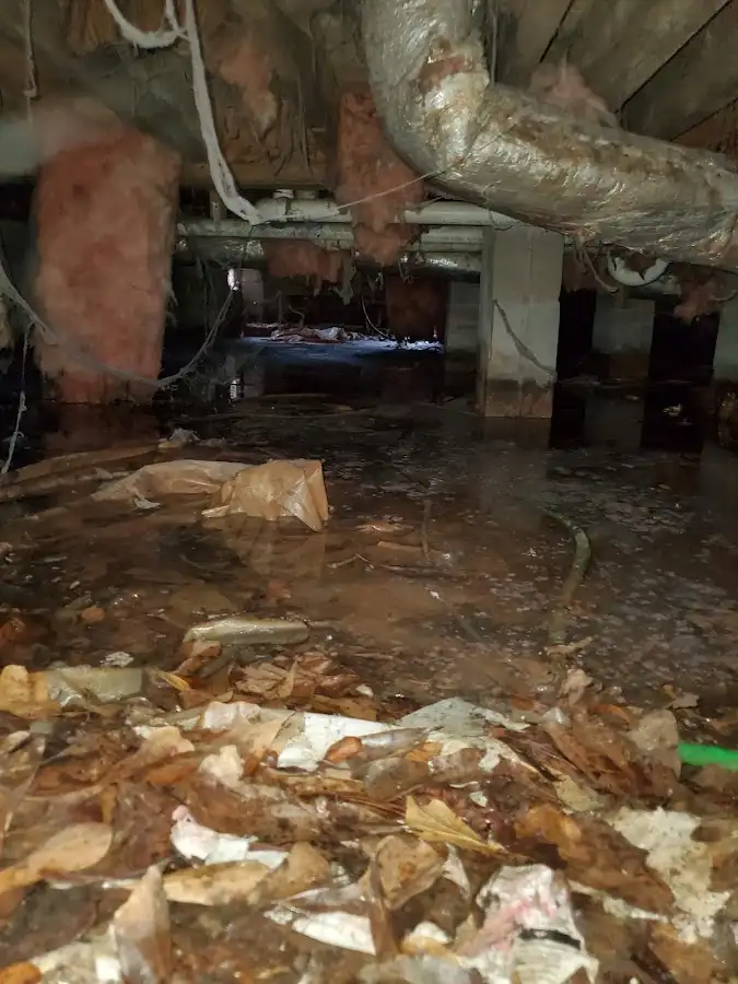Crawl space flood assessment for Commercial Water Damage Restoration in Clay